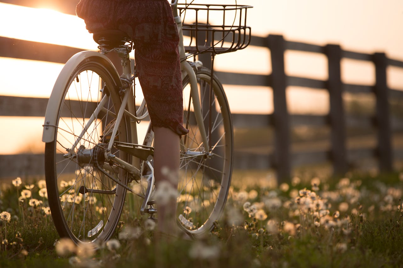 Louer un vélo en Vendée | Le Tropicana